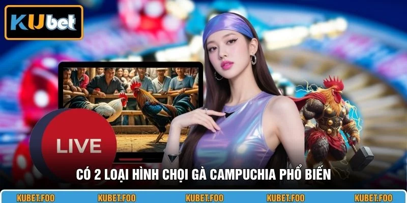 Có 2 loại hình chọi gà Campuchia phổ biến 